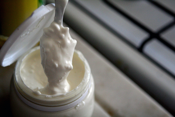 Creamy Greek Yogurt