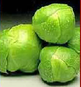Brussel Sprout Masala
