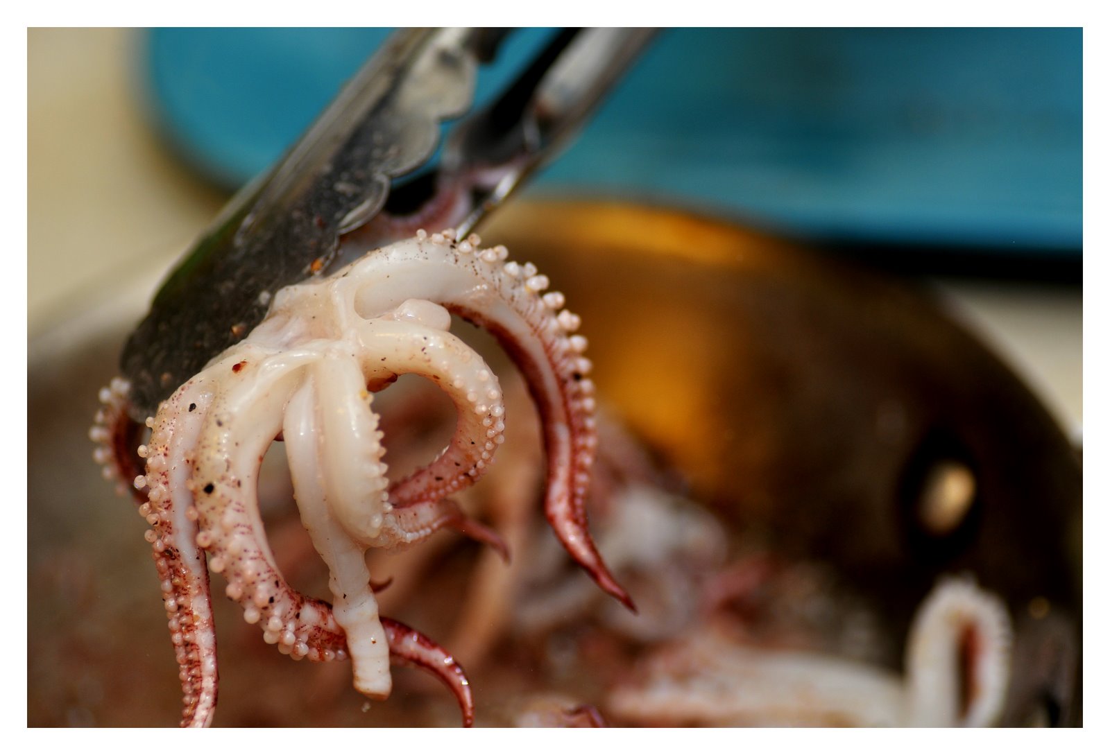 Pasta with Squid Ink, Orange-Braised Fennel and Tentacles