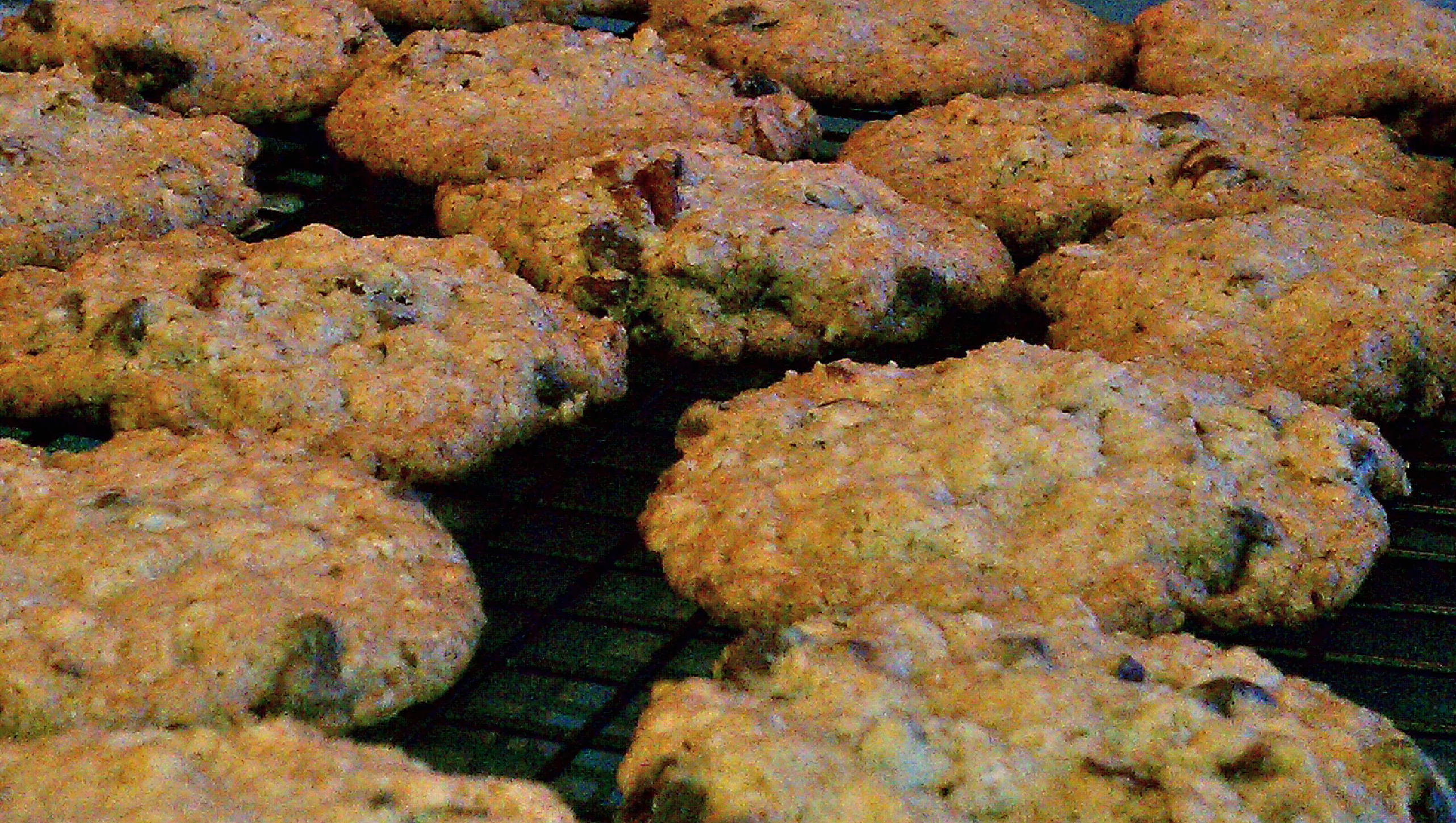 Crispy Oatmeal Cookies with Pecans and Chocolate Chips