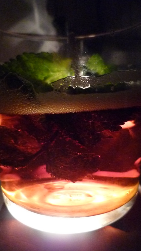 Mint in the Cider side of Beer