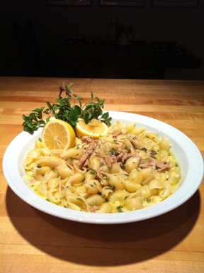 Pasta_shells_37a
