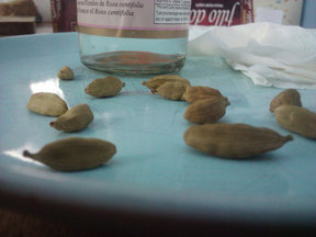 Cardamom_02