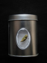 Cardamom Sugar