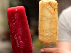 Cardamom-Kulfi Ice Pops