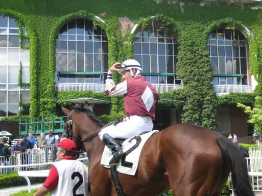 Backstretch