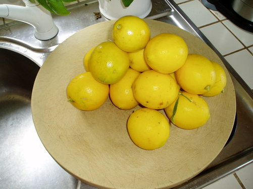 Osso Buco with Lemon and Olives