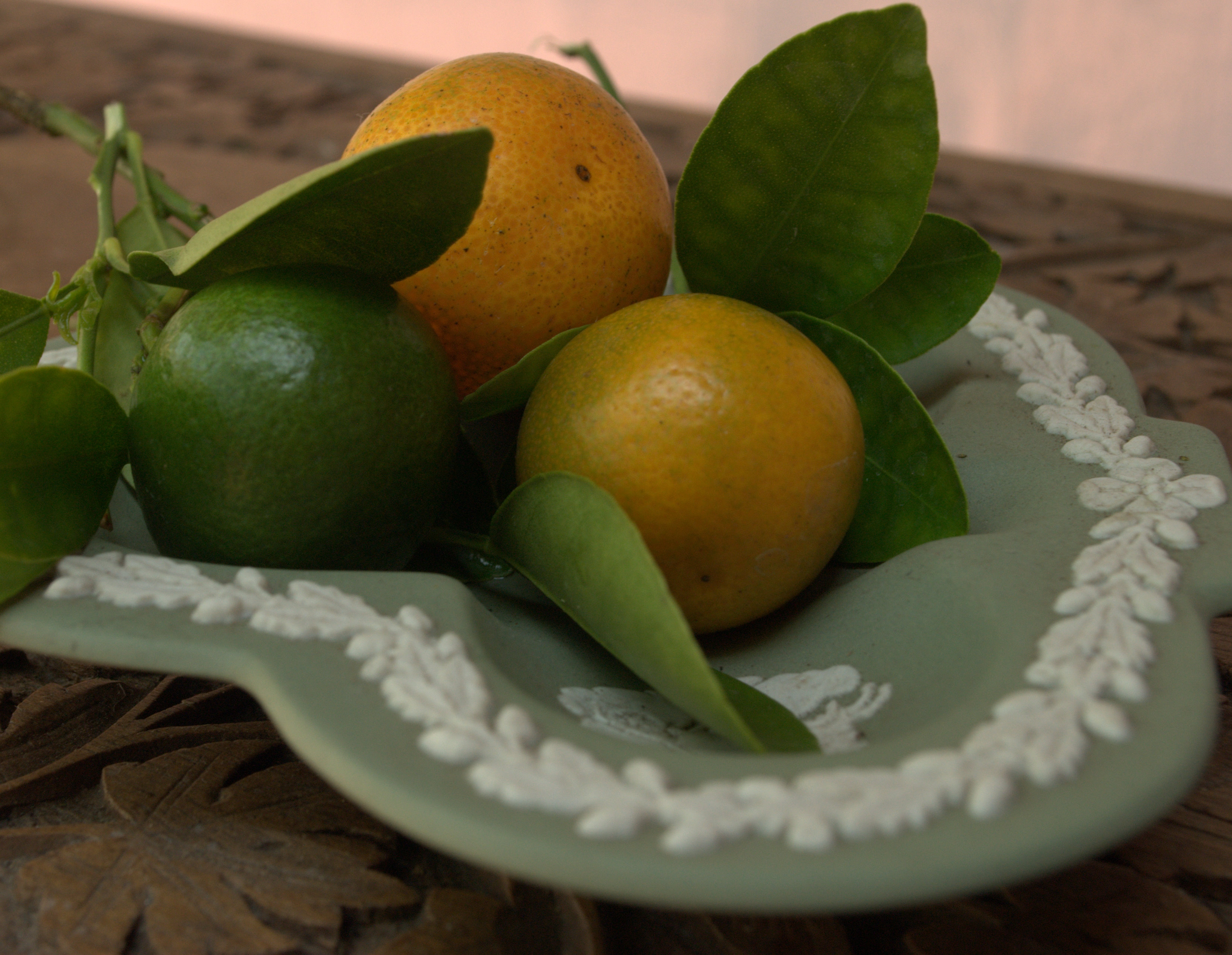 Citrus Sauce