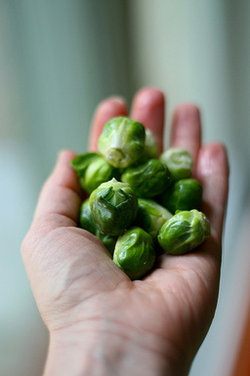 "Hidden Jewels" Brussels Sprouts
