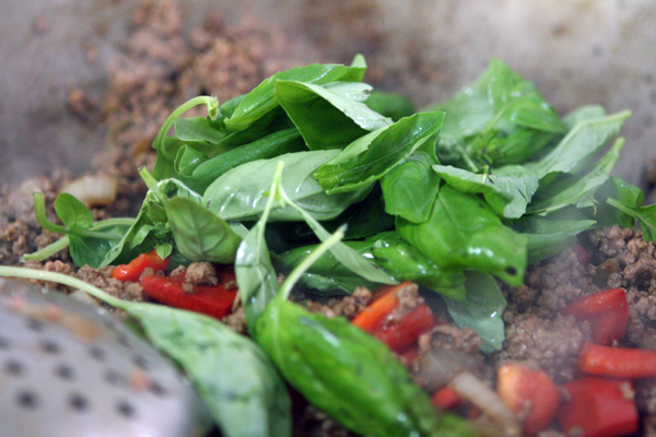 Thai Basil Stir-Fry ( Put Kaprow)