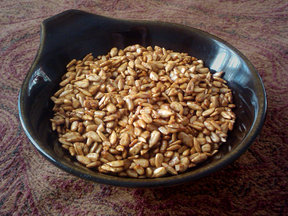 Sun_seeds_03