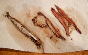 Anchovies