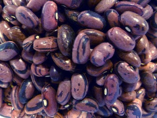 Rio Zape Beans with Toasted Chile Sauce