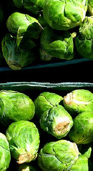 Creamy Braised Brussels Sprouts