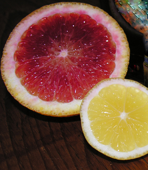 Rustic blood orange and chestnut budino
