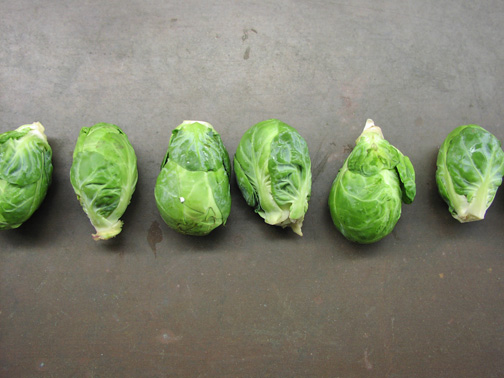 Red-Cooked Brussels Sprouts
