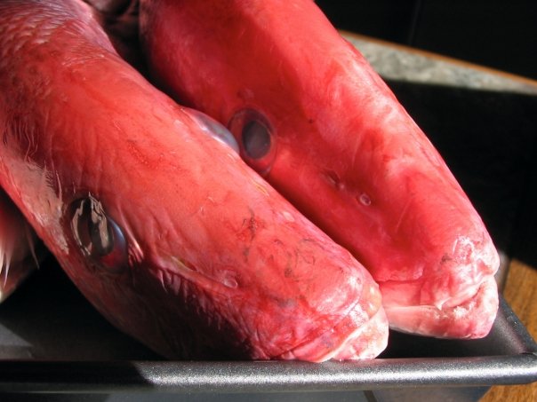Fish baked (memorably) in a salt crust