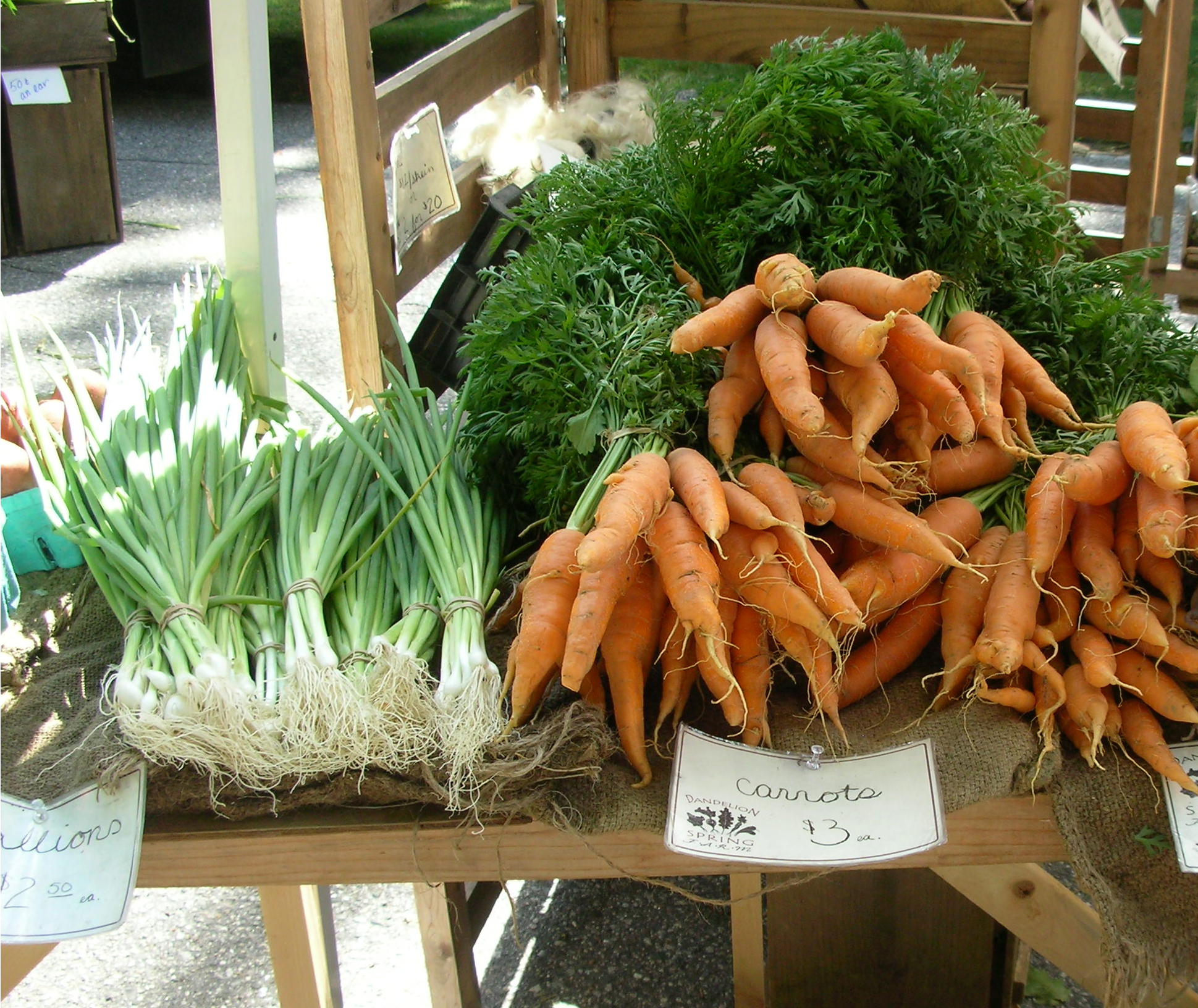 carrot soup