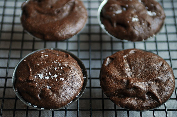 brownie bites