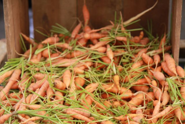 Spiced Carrot Salad