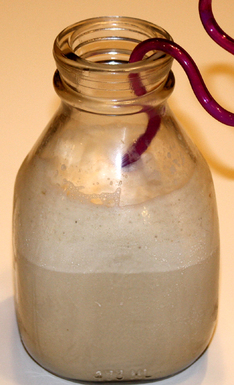 Beermilkshake