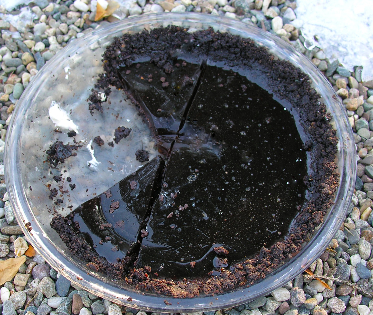 Frozen puddle in the middle of a pothole pie