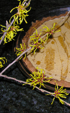 Rustic 4M tart