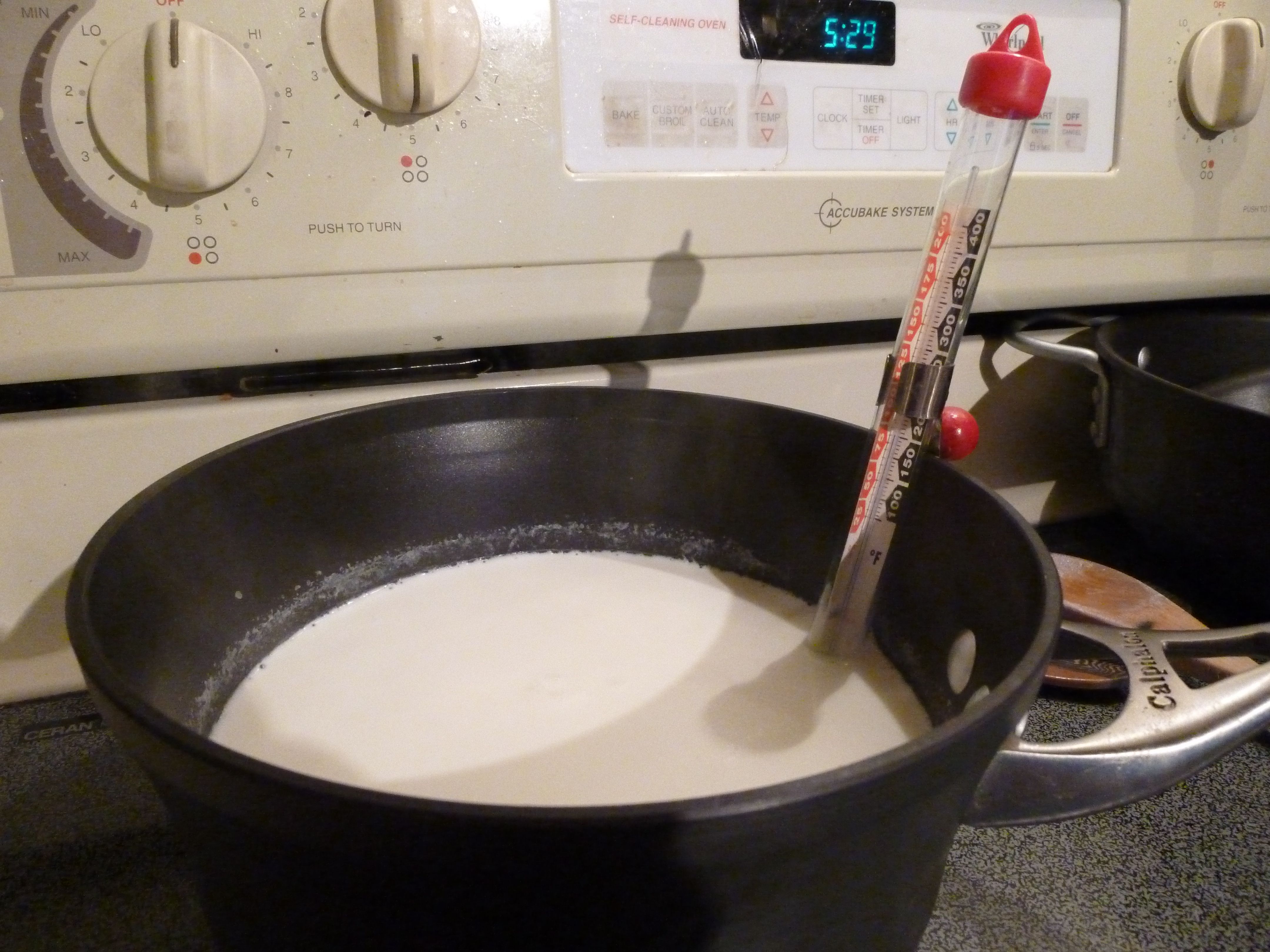 Goat Milk Ricotta Cheese