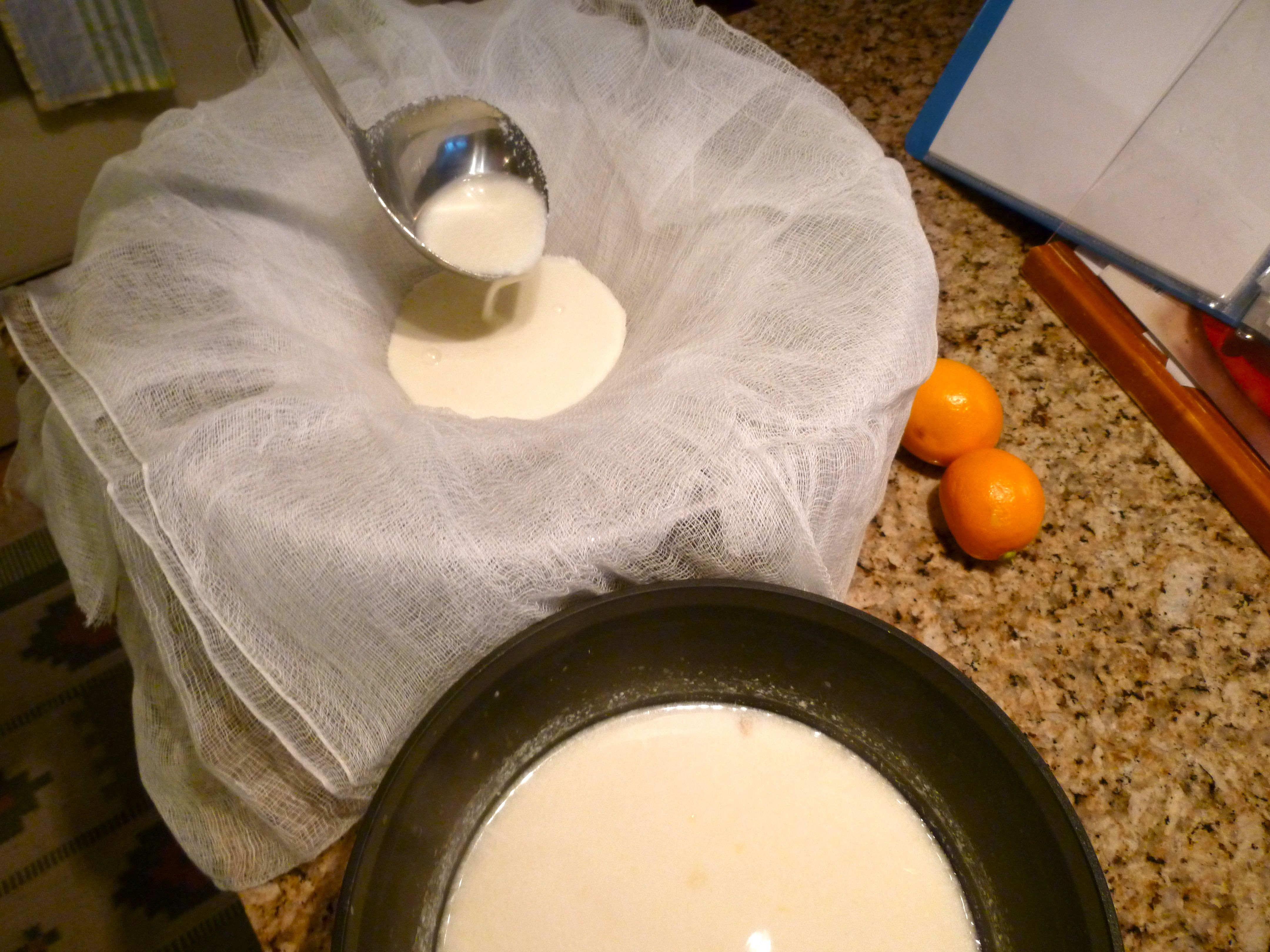 Goat Milk Ricotta Cheese