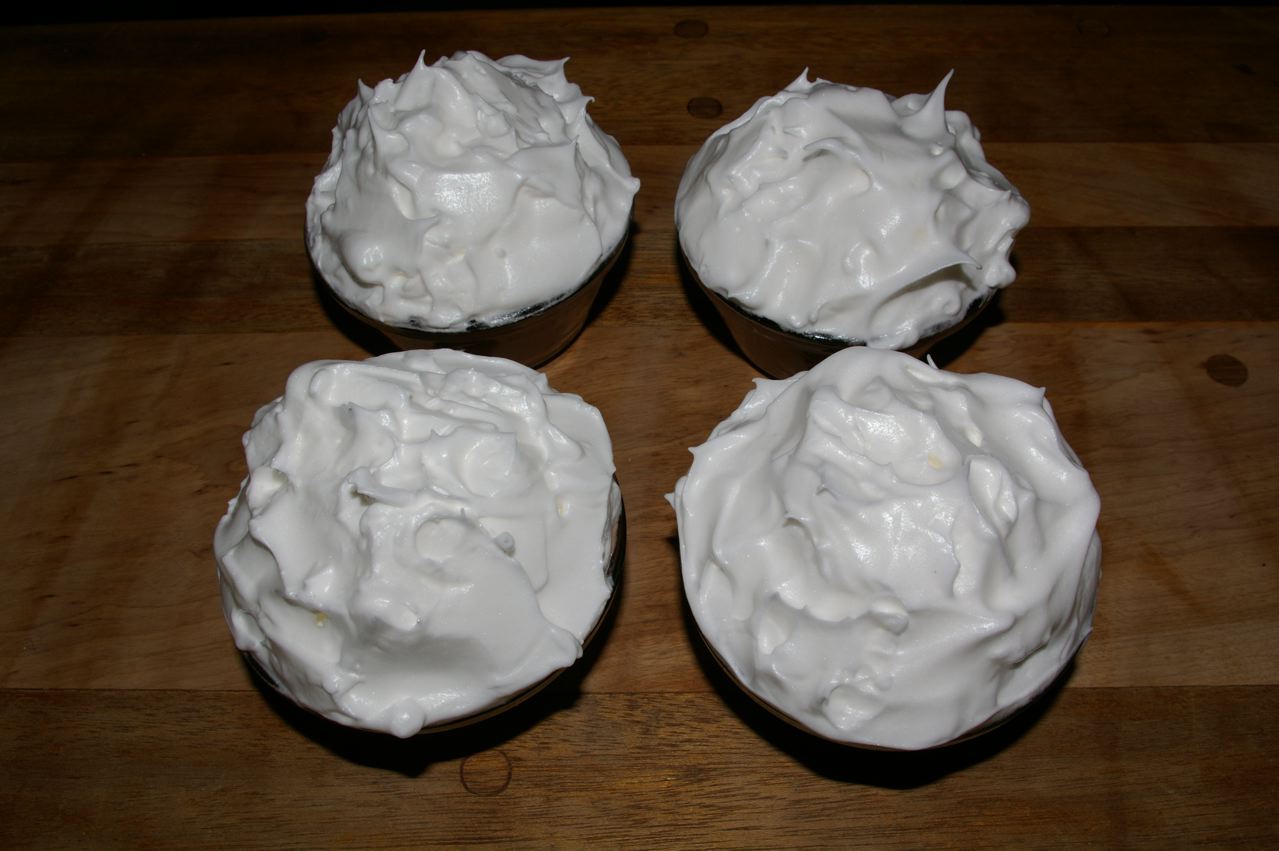 Baked Alaska