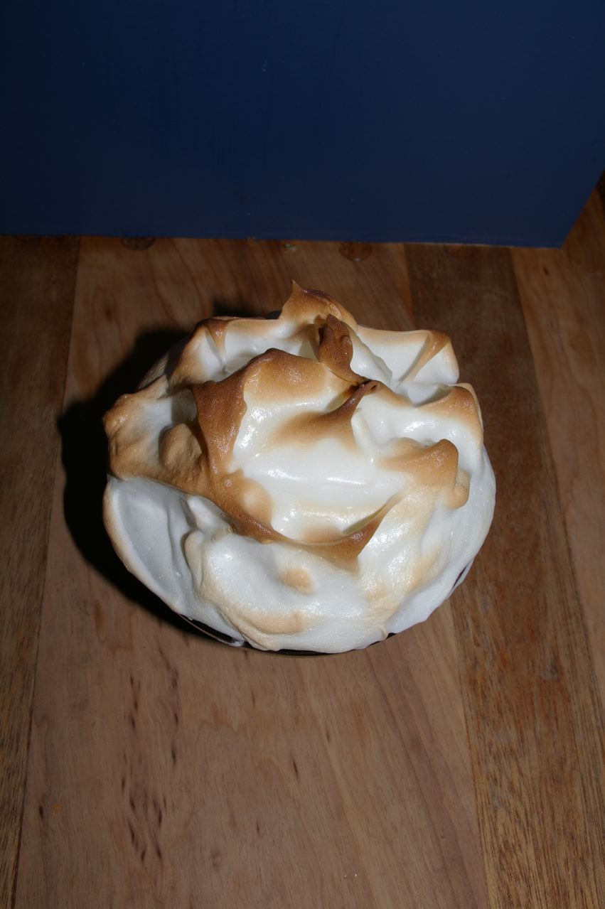 Baked Alaska