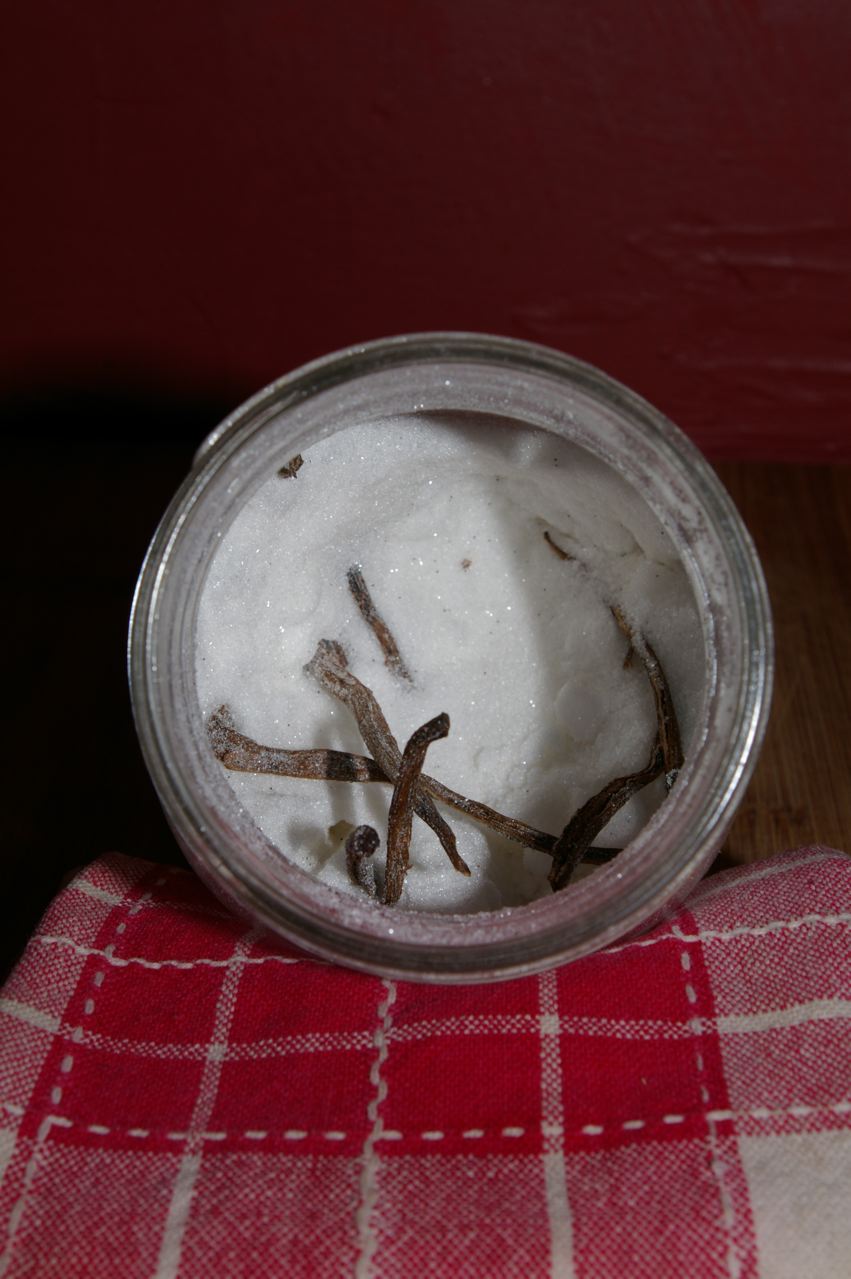 Vanilla Extract