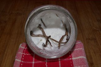 Vanilla Extract