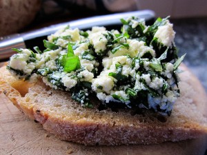 Basil Ricotta Crostini