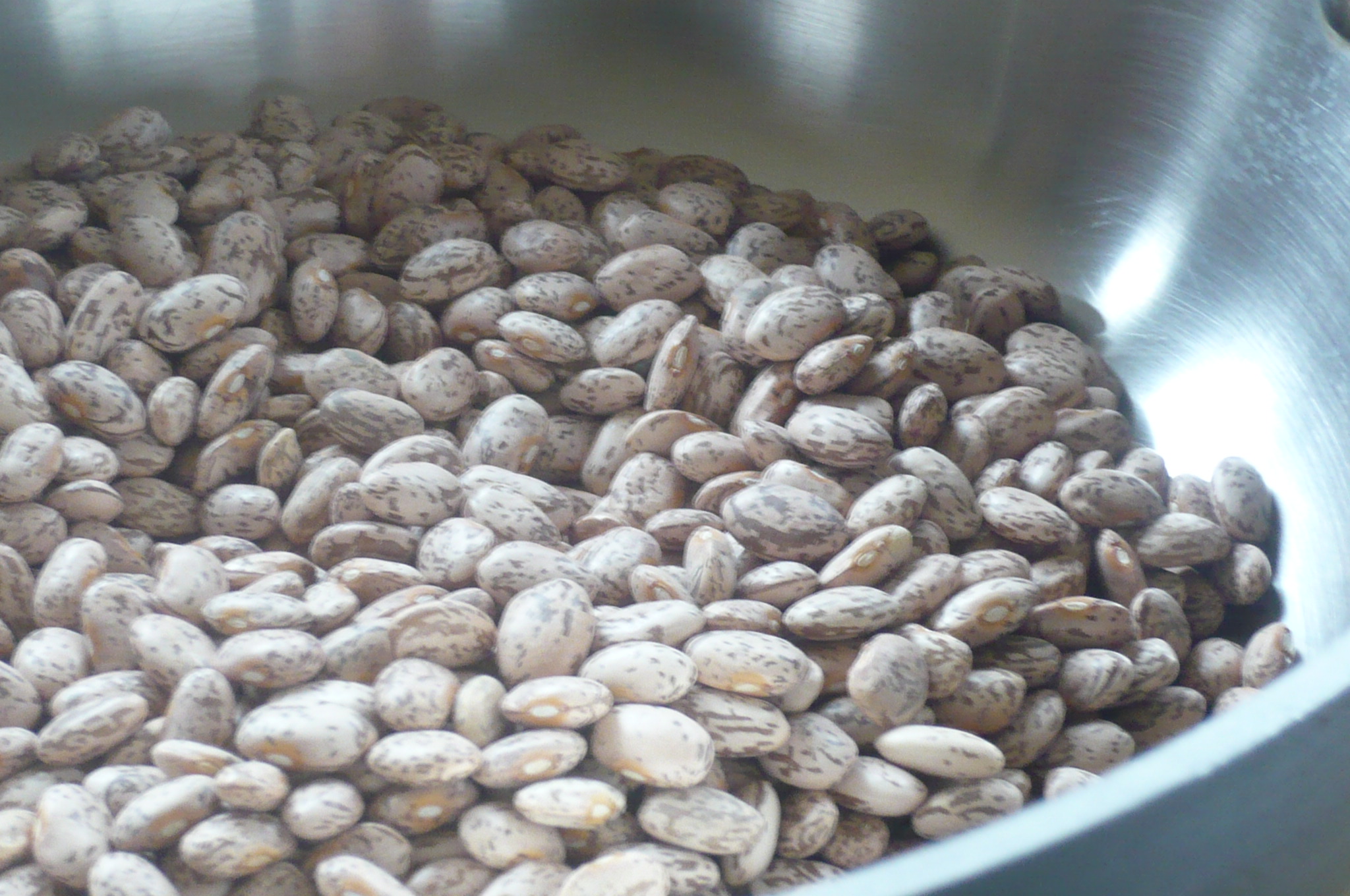 Anasazi Beans with Toasted Pumpkin Seeds and Cotija Cheese