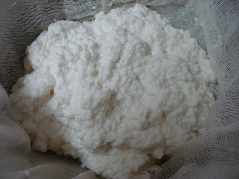 Curds & Whey Biscuits with Infused Honey & Ricotta Spread