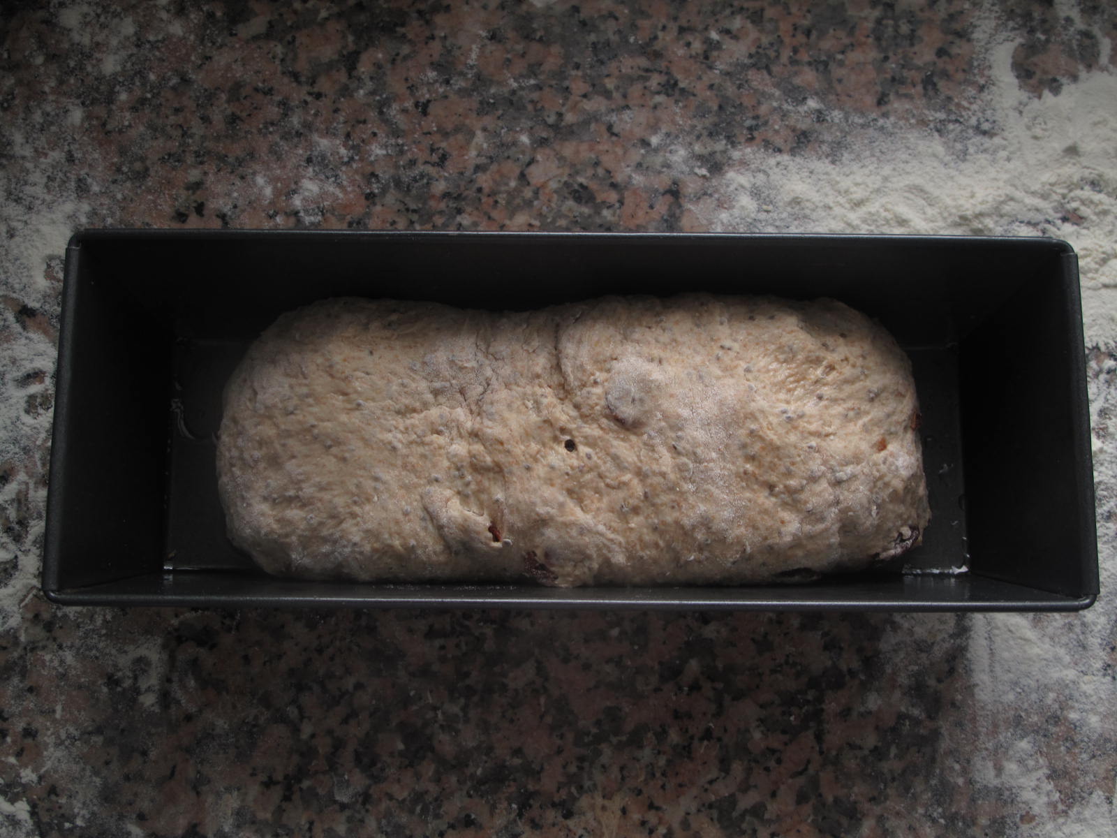 Spelt-Cherry-Chia seed bread