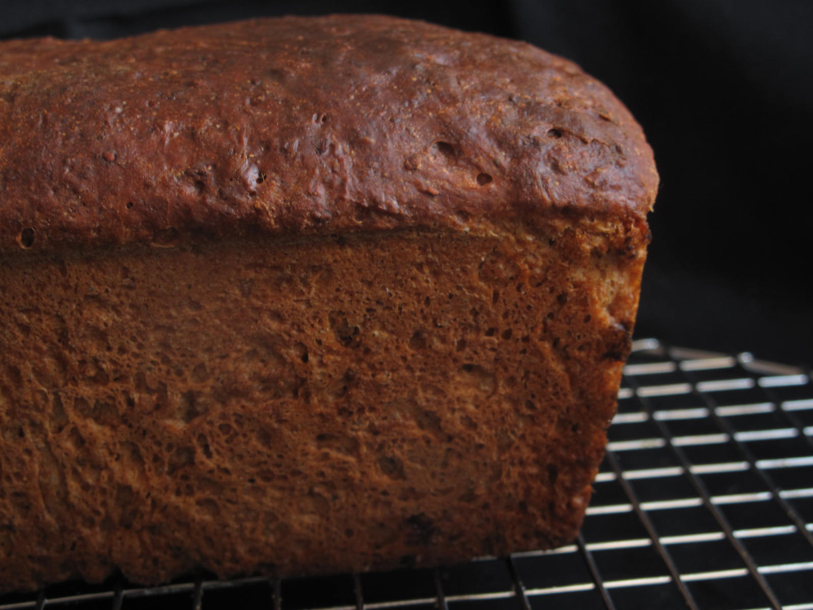 SpeltCherryChia seed bread recipe on