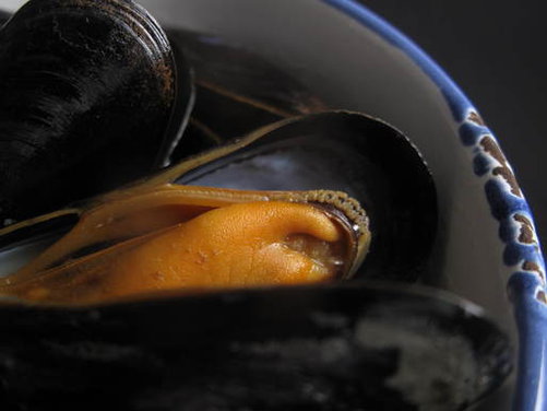 Drunken Mussels