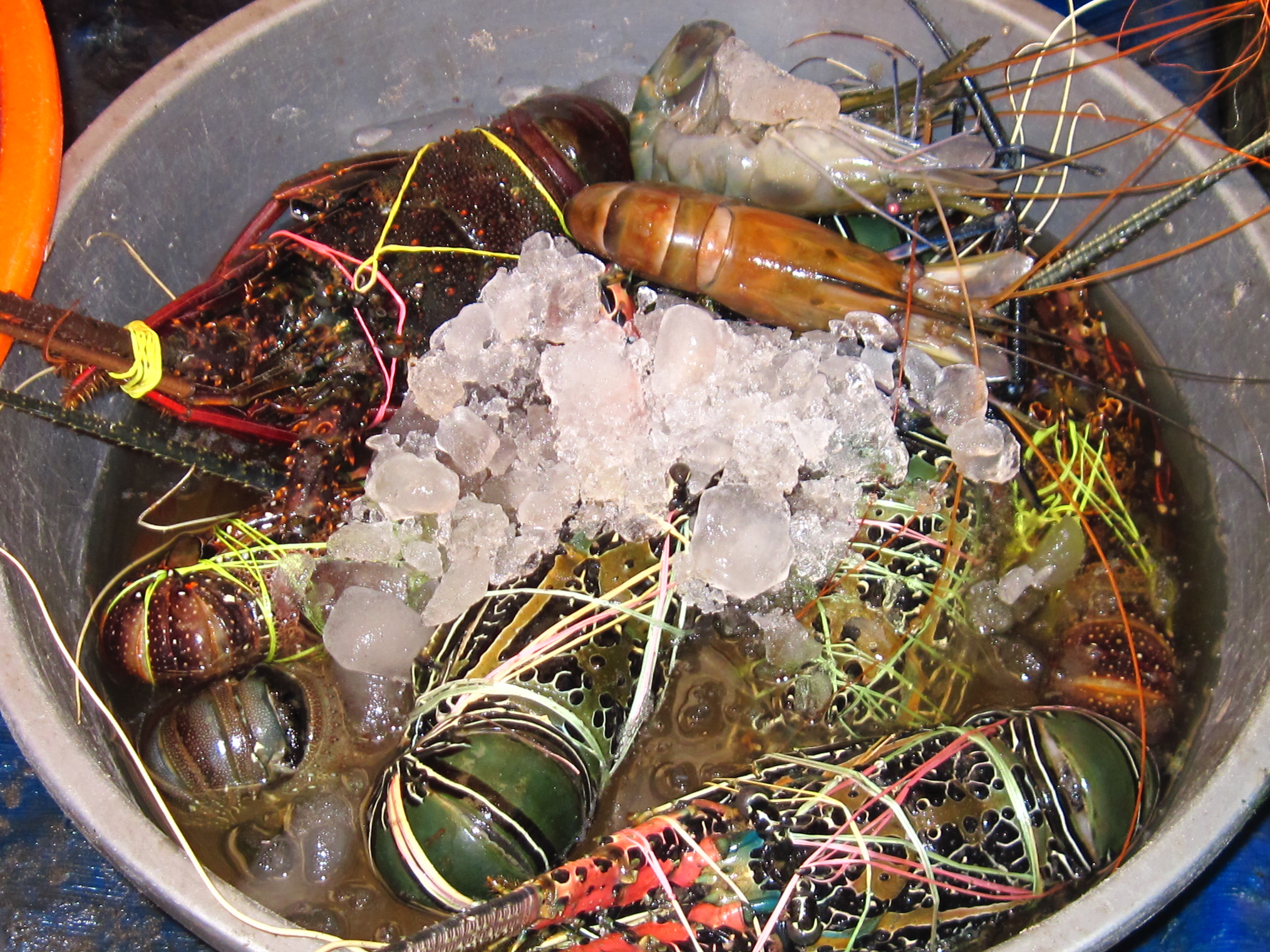 Flame Red Lobster Tails Recipe on Food52