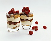 Raspberry Jell-O and Espresso- Sour Cream Panna Cotta Parfait.