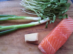 Salmon Potstickers