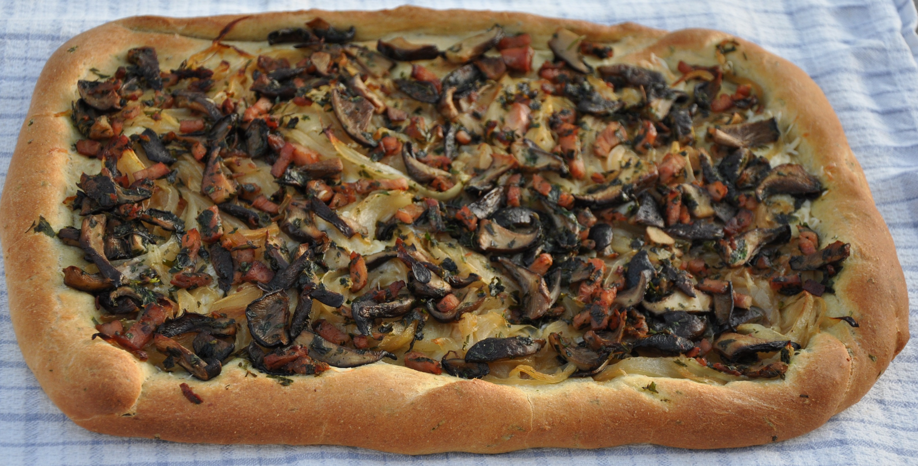 Pissaladière with Oyster Mushrooms and Black Forest Ham
