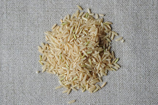 Brown_germinated_9337