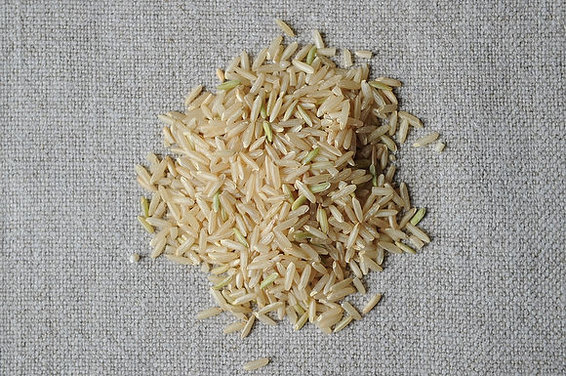 Brown_germinated_9337