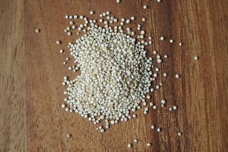040111f__sproutedquinoa_01