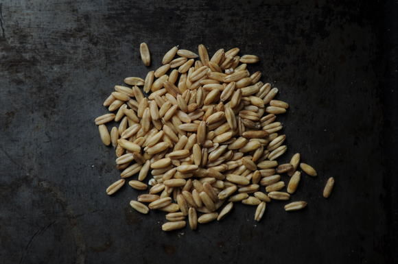 040111f__oatgroats_04