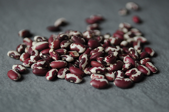 Rio Zape Beans with Toasted Chile Sauce