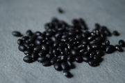 040111f__blackbean_02