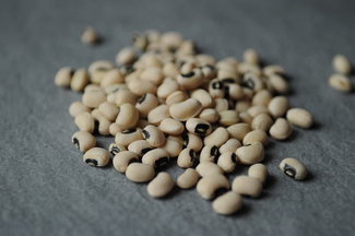 040111f__blackeyedpea_02